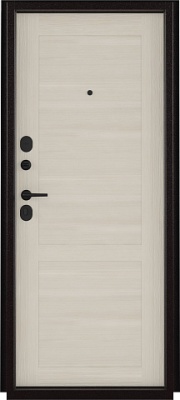 МЕТАЛЛИЧЕСКАЯ ДВЕРЬ ПРАКТИК 75 (2050/950 )