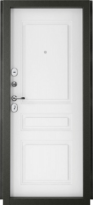 МЕТАЛЛИЧЕСКАЯ ДВЕРЬ ФАКТУМ РАЦИОНАЛИСТ (2050/950 )