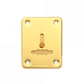 Apecs DP-S-01-G-shutter Накладка декоративная под сувальд со шторкой (золото)